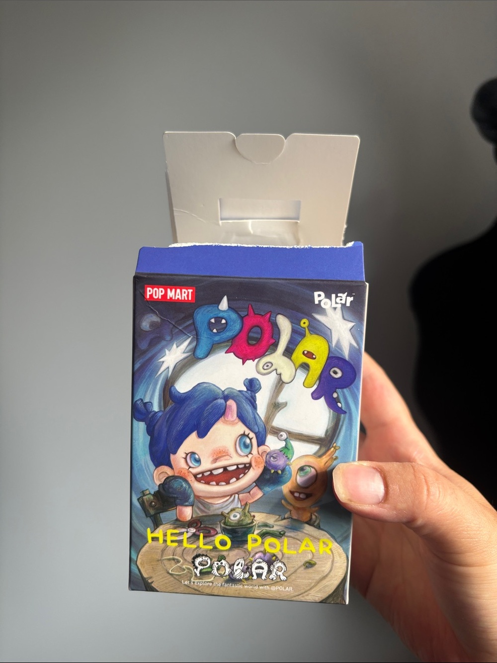 Pop Mart - POLAR - HELLO POLAR Season 1 Series Figures confirmed box